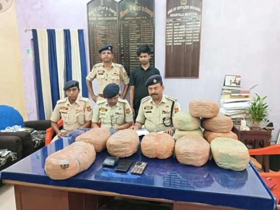 22 KG Marijuana seized by West Agartala PS 22 KG Marijuana seized by West Agartala PS